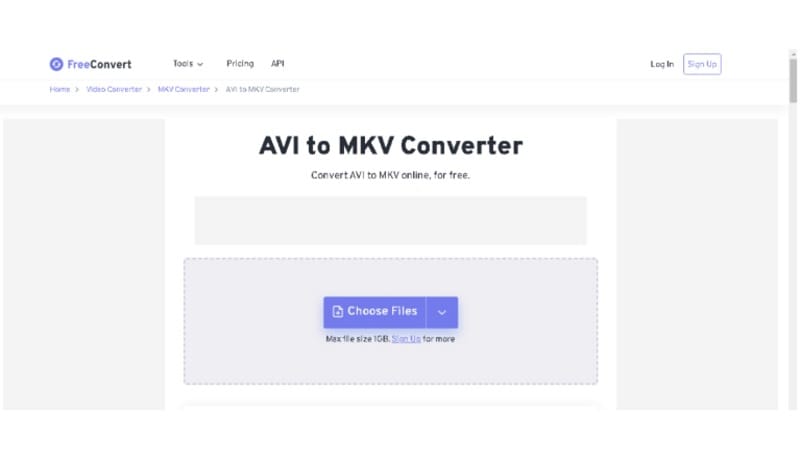 free convert avi to mkv